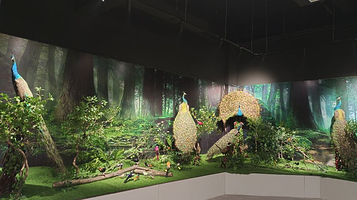 时空龙自然研学馆