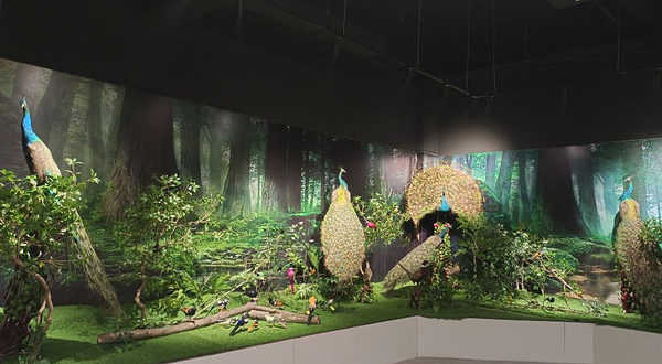 时空龙自然研学馆