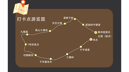 高黎贡山南段西支线毛毛球原始森林第 5 张图片