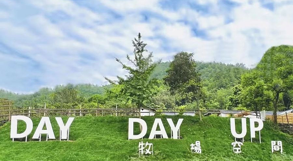 DayDayUp牧场空间