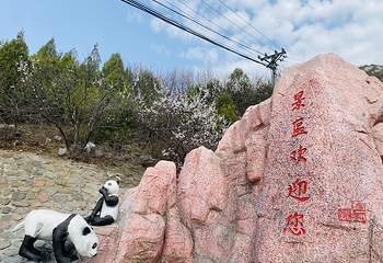 大理石长城景区第 11 张图片
