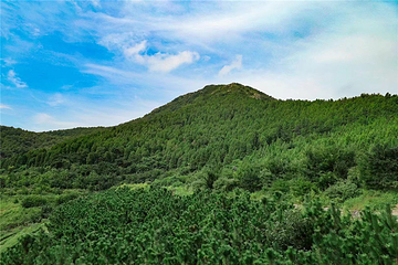竹山生态谷第 21 张图片