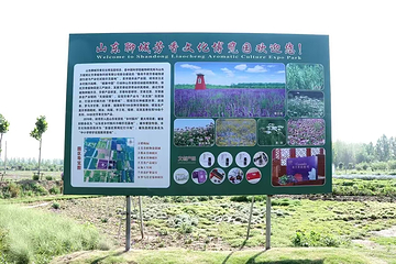 聊城芳香文化博览园第 21 张图片