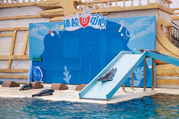 乐岛海洋王国第 34 张图片