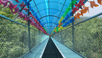 琅琊山森林漂流