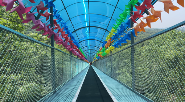 琅琊山森林漂流