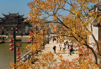 铜陵犁桥水镇景区第 17 张图片