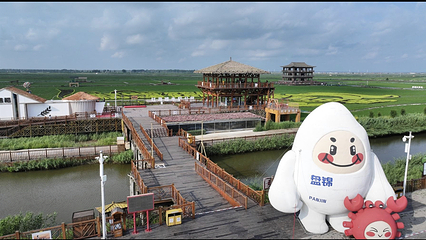 红海滩国家风景廊道第 125 张图片