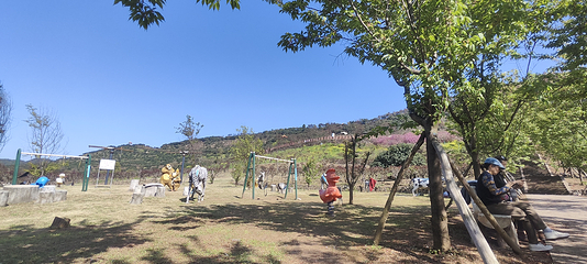 杨梅基地第 11 张图片