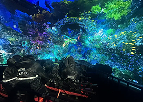 百慕大冒险(民生百货骡马市店)