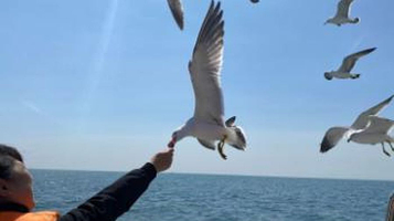 大连妙游帆船海钓游艇俱乐部(大连东港威尼斯水城店)