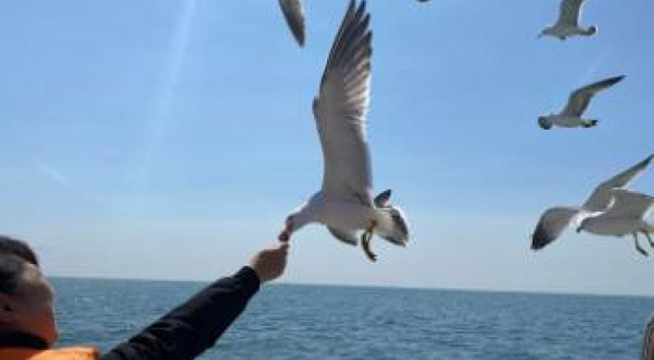 大连妙游帆船海钓游艇俱乐部(大连东港威尼斯水城店)