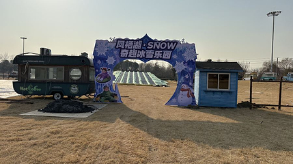 凤栖湖·SNOW奇趣冰雪乐园第 1 张图片