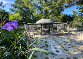 南宫秘林谷物种具乐营-神鹿园