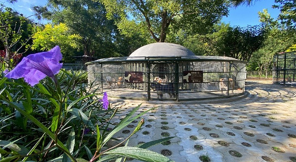 南宫秘林谷物种具乐营-神鹿园