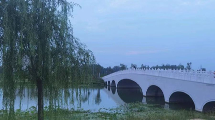 南海湿地公园第 1 张图片