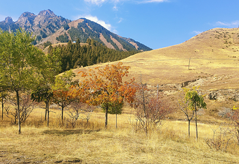 南山牧场西白杨沟景区第 13 张图片