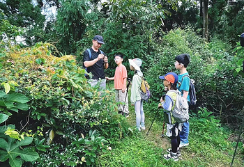 高黎贡山阿咪莫雨林景区第 6 张图片