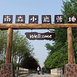 南森小鹿营地