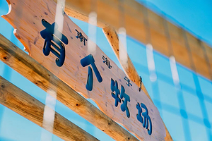 南海子有个牧场