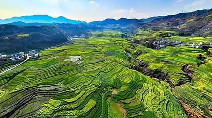 塔崖梯田景区第 1 张图片