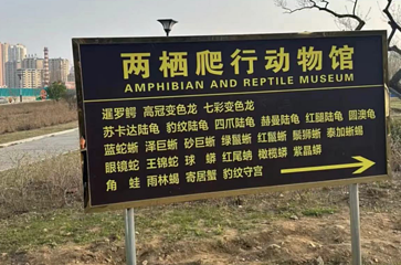两栖爬行动物馆第 13 张图片
