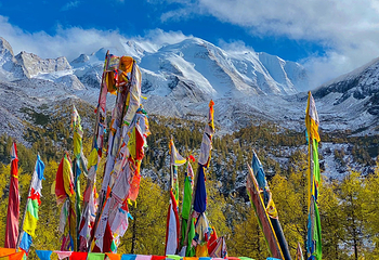 亚拉雪山风景区第 14 张图片