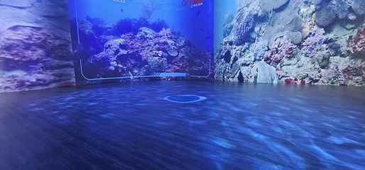 潮境智能海洋馆第 3 张图片