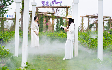 吴郡花屿第 7 张图片