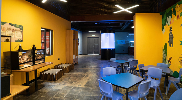 太阳岛小小牧场