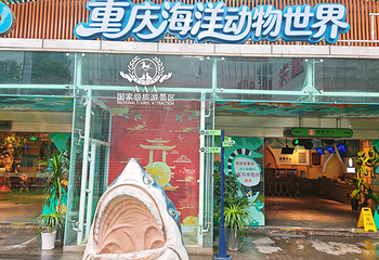 重庆海洋动物世界第 18 张图片