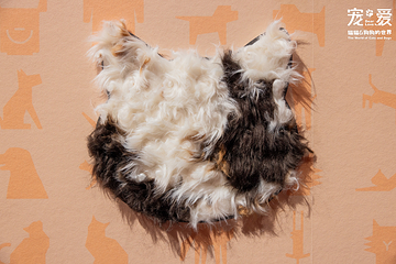 深圳博物馆《宠·爱—猫猫狗狗的世界》展览第 10 张图片