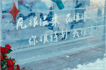 华夏冰雪世界(郑州店)第 17 张图片