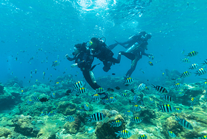 海底天宫探奇潜水