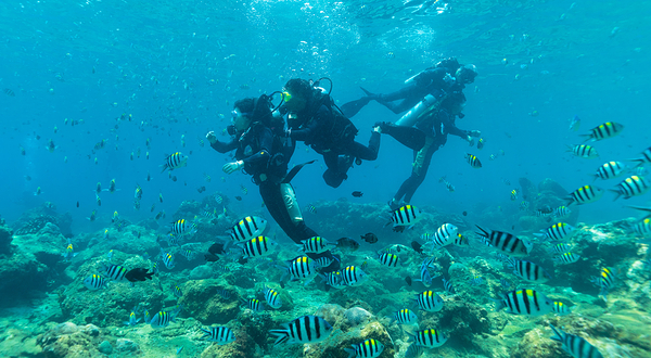 海底天宫探奇潜水