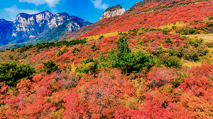河南宝泉旅游区第 71 张图片