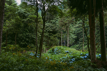龙苍沟国家森林公园第 38 张图片
