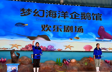 梦幻海洋企鹅馆第 52 张图片