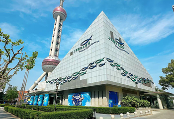 上海海洋水族馆第 16 张图片