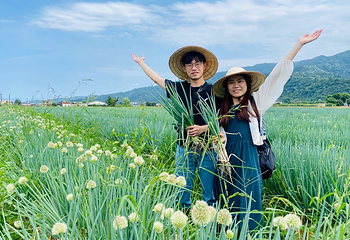 星宝葱体验农场第 11 张图片