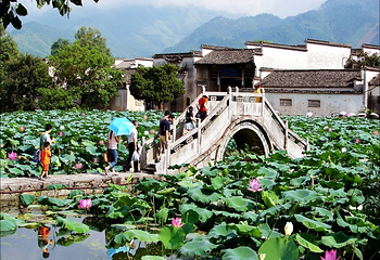 宏村景区第 293 张图片
