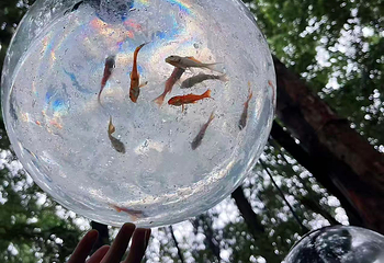 东明山森林公园第 27 张图片