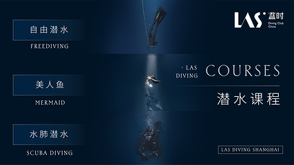 LAS蓝时潜水(长宁店)第 9 张图片