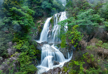 宜春明月山旅游区第 19 张图片