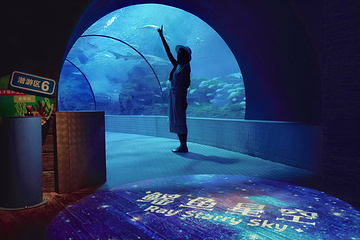 上海长风海洋世界第 44 张图片