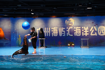广州海屿汇海洋公园第 18 张图片