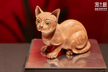深圳博物馆《宠·爱—猫猫狗狗的世界》展览第 7 张图片