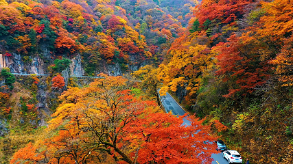神农顶风景区第 36 张图片