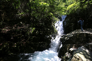 千岛湖红山谷景区第 23 张图片