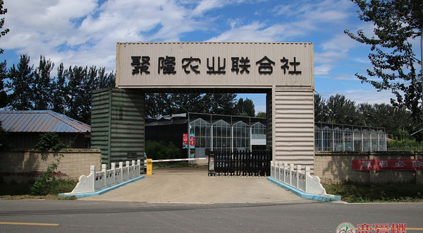 聚隆农业农民专业合作社联合社